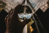 Crystal LensBall for Photography